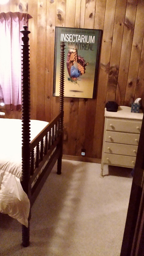 Middle Room 2